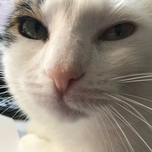 Meet your Posher, Xinxin